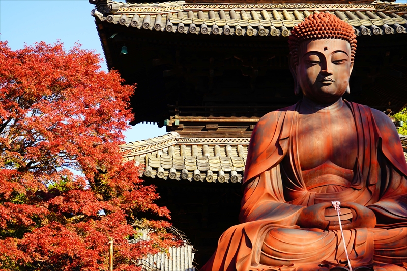 1035_八事山興正寺_愛知