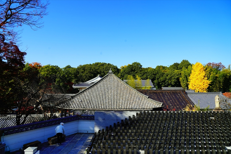 1040_八事山興正寺_愛知