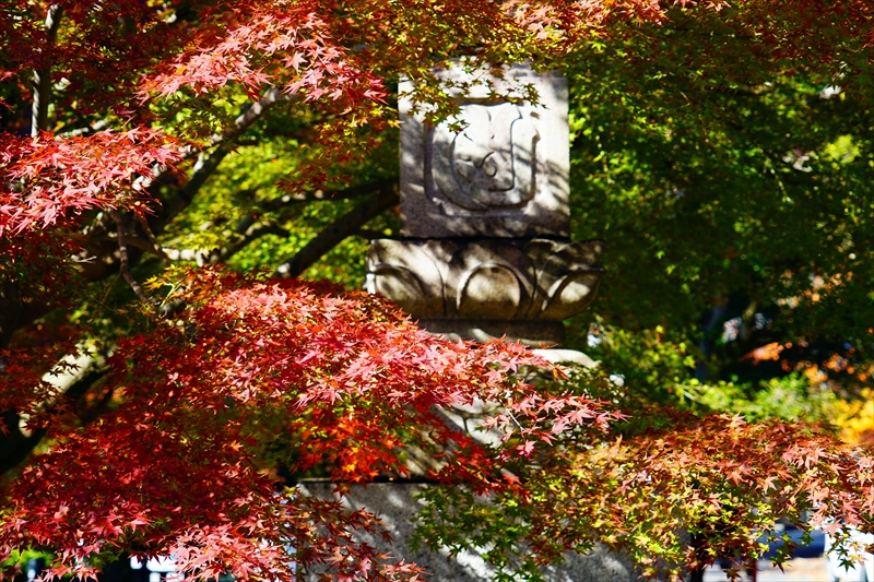 1042_八事山興正寺_愛知