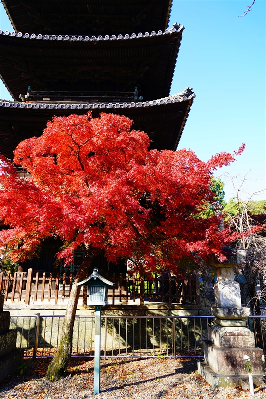 1044_八事山興正寺_愛知