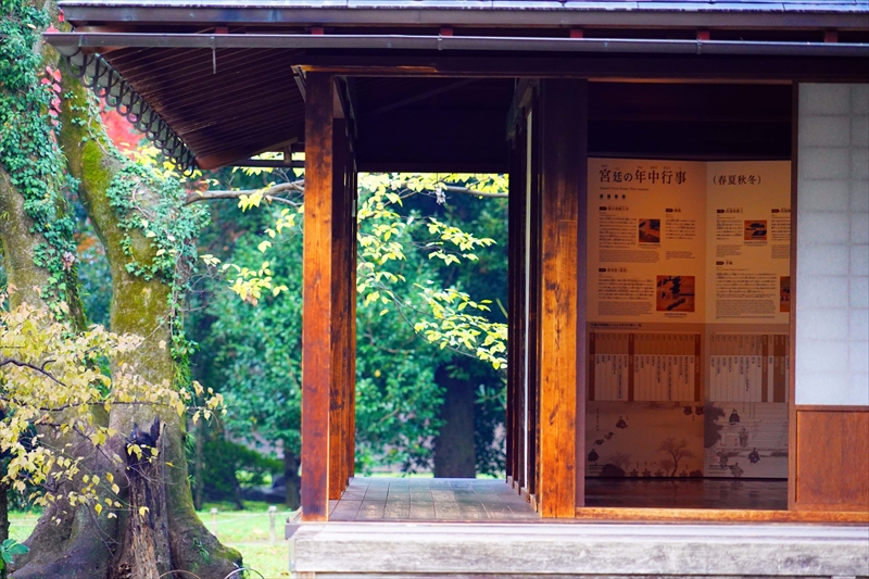 1090_洛中 京都御苑_京都