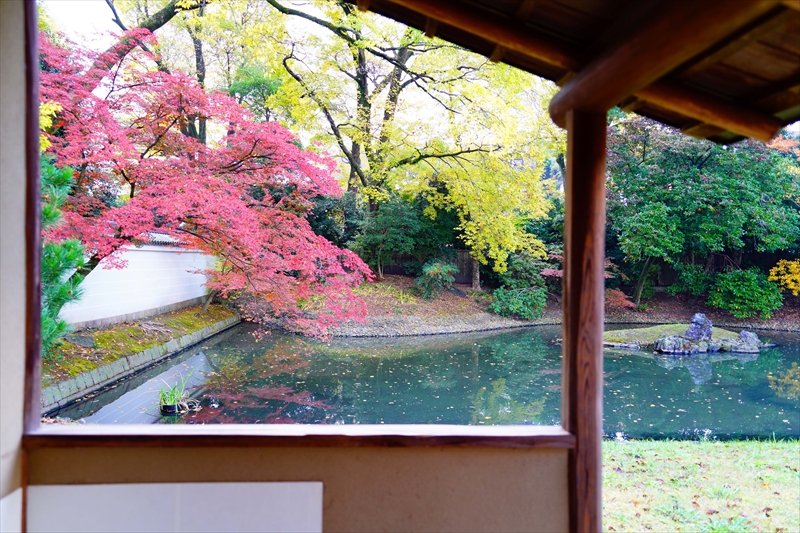 1091_洛中 京都御苑_京都