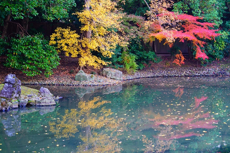 1092_洛中 京都御苑_京都