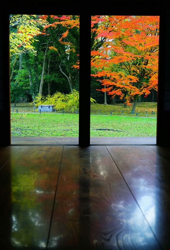 1101_洛中 京都御苑_京都