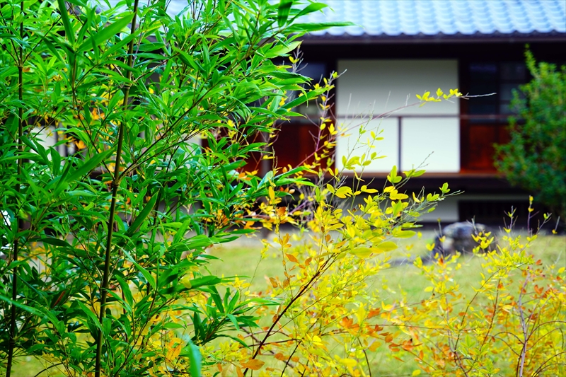 1103_洛中 京都御苑_京都