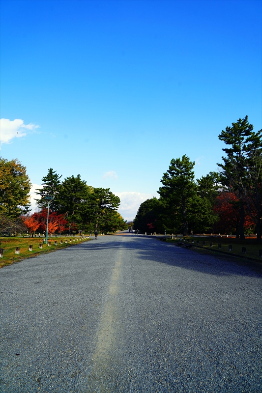 1105_洛中 京都御苑_京都