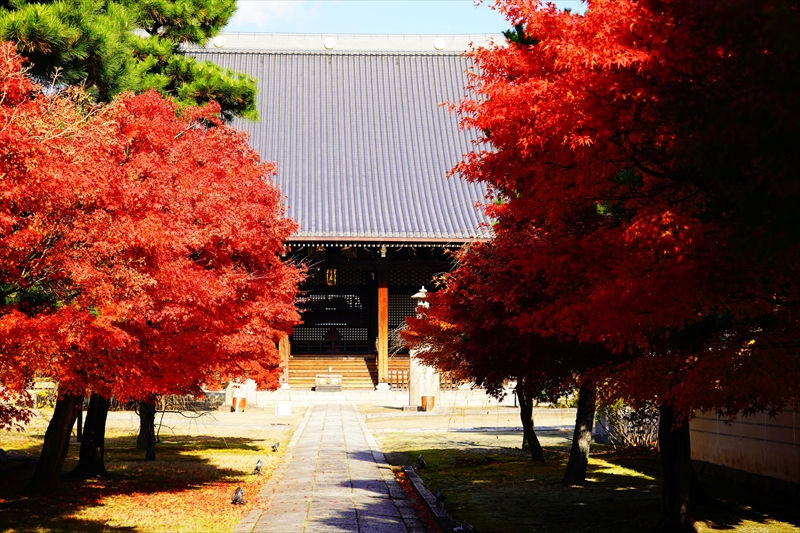 1145_洛中 妙顕寺_京都