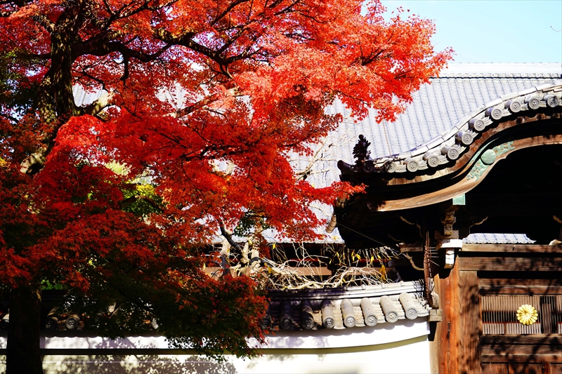 1149_洛中 妙顕寺_京都
