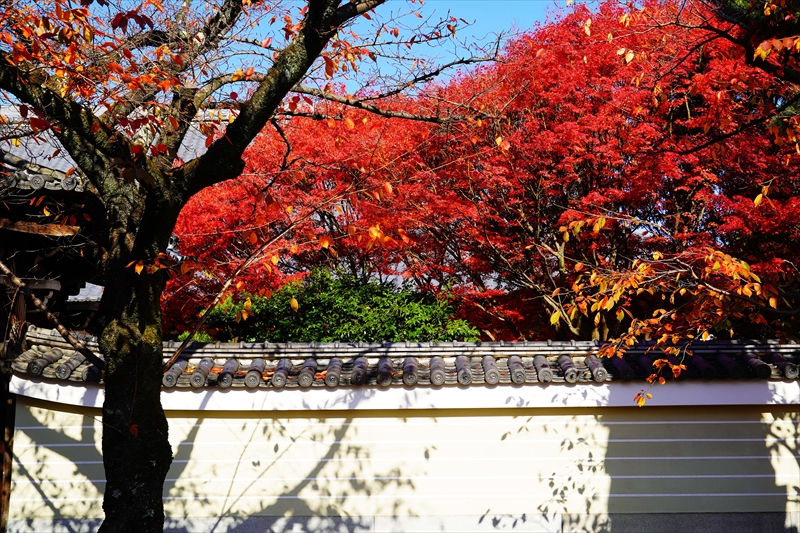 1150_洛中 妙顕寺_京都