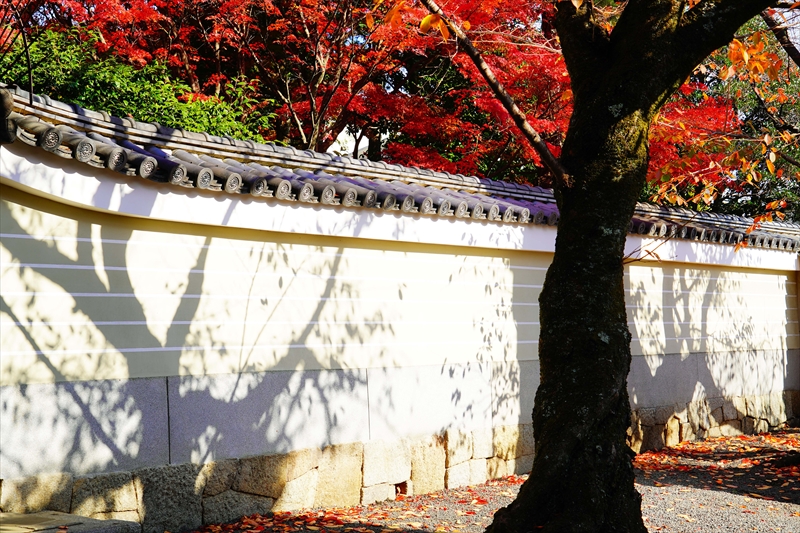 1152_洛中 妙顕寺_京都