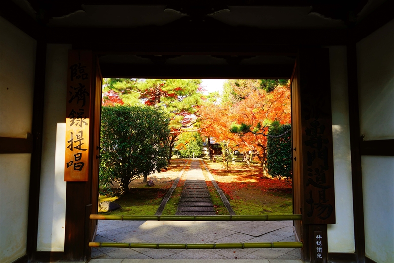 1070_洛北 大徳寺・芳春院_京都