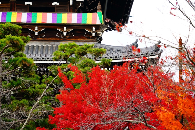 1066_洛東 南禅寺_京都