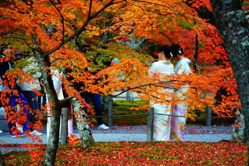 1068_洛東 南禅寺_京都