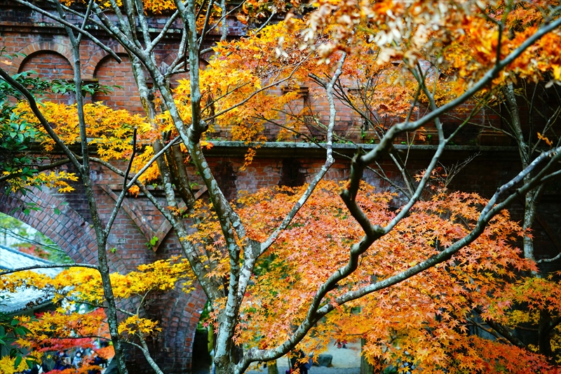 1069_洛東 南禅寺_京都