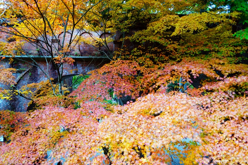 1070_洛東 南禅寺_京都