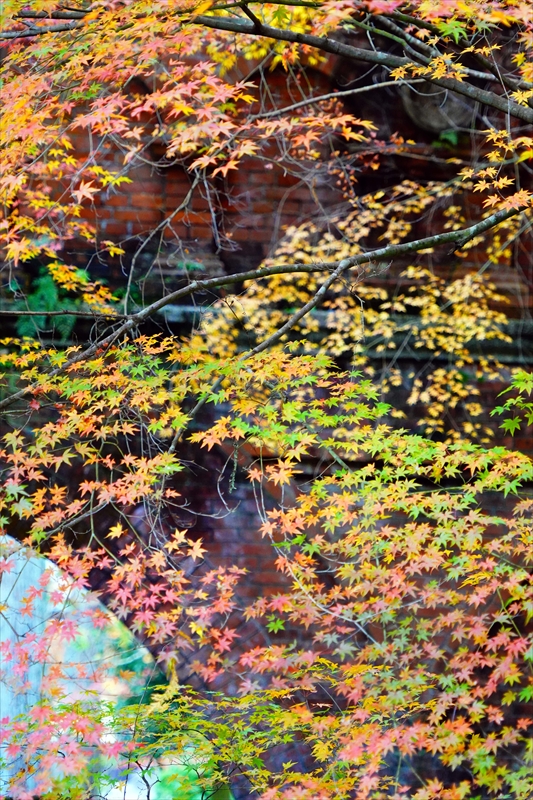 1071_洛東 南禅寺_京都