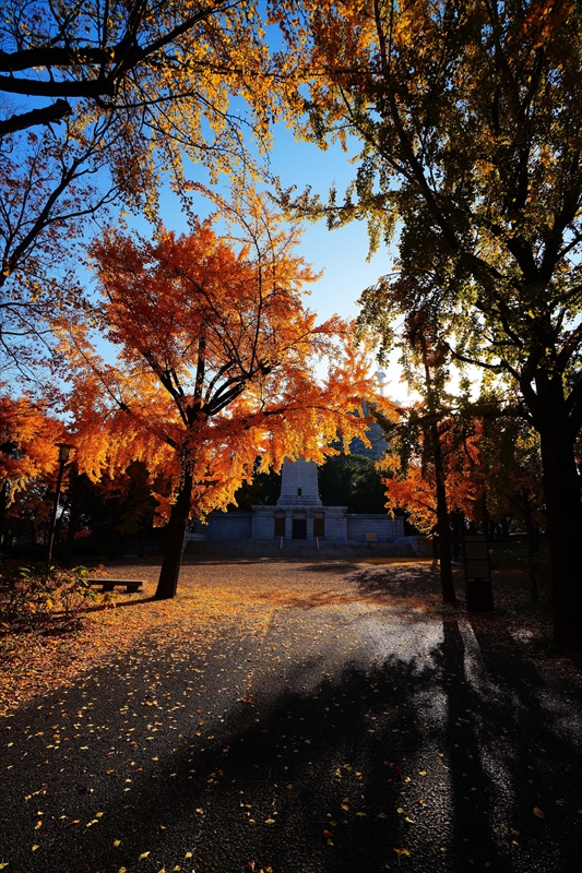 1006_大阪城_大阪