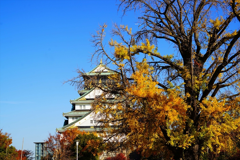 1016_大阪城_大阪