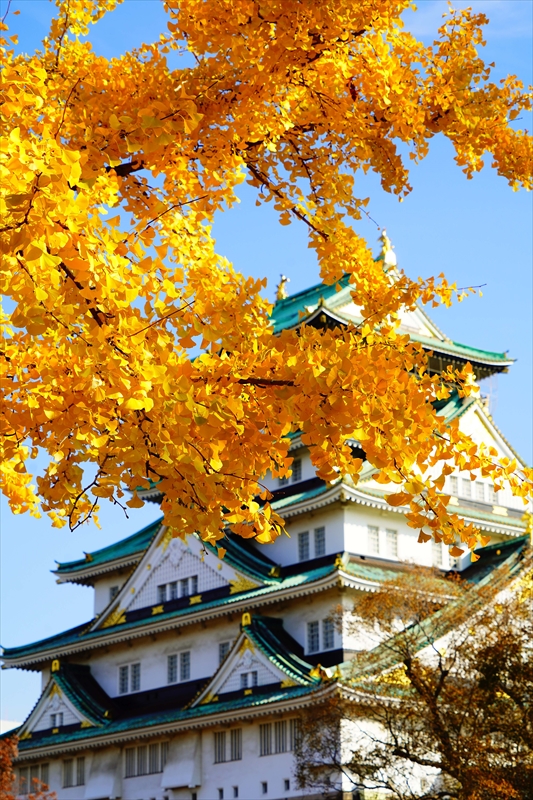 1028_大阪城_大阪