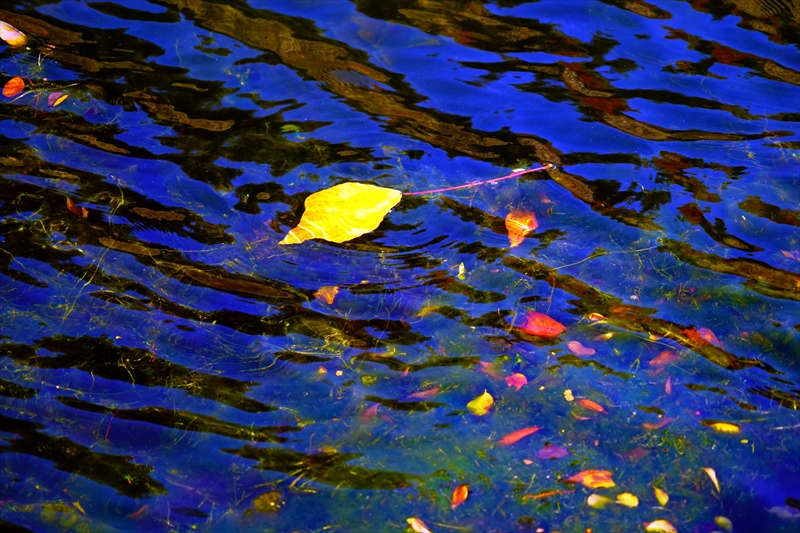 1031_大阪城_大阪