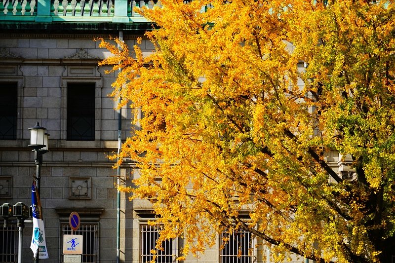 1003_日本銀行大阪支店_大阪