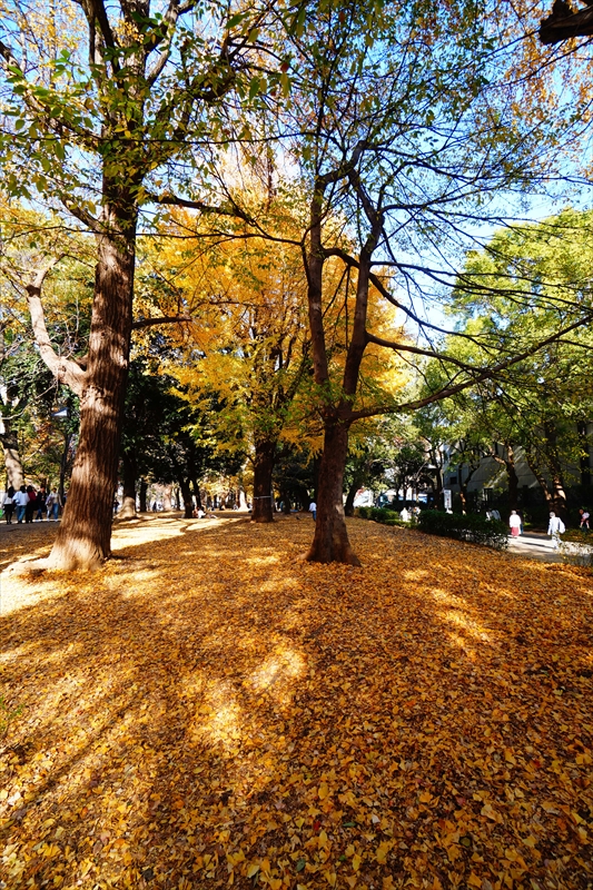 1021_上野恩賜公園_東京