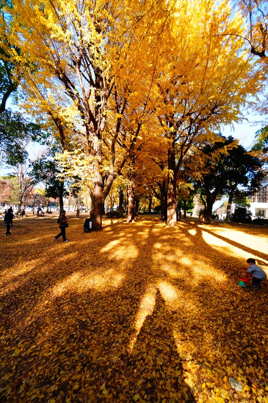 1023_上野恩賜公園_東京