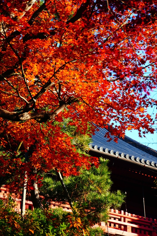 1027_上野恩賜公園_東京