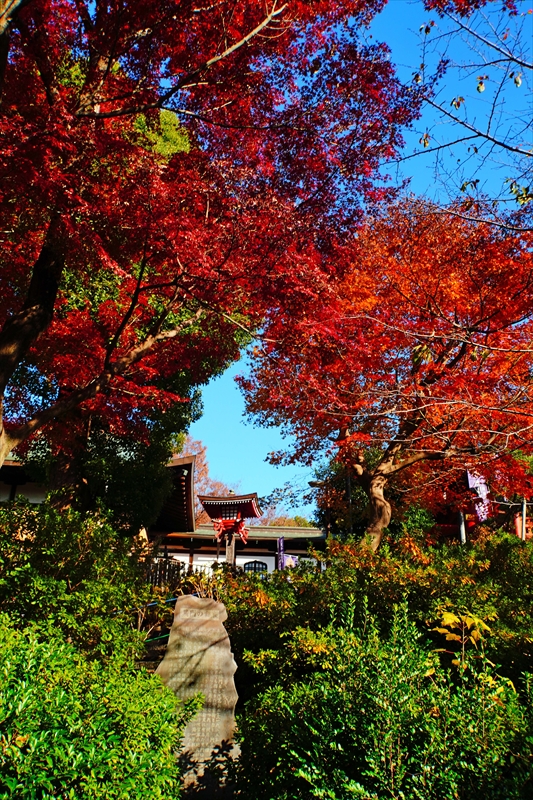 1030_上野恩賜公園_東京