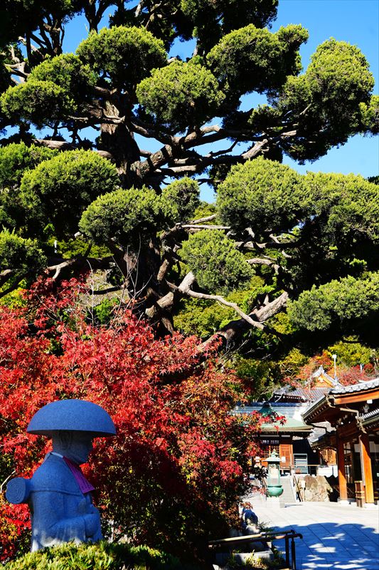 1123_神戸市須磨寺_兵庫