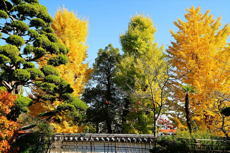 1134_神戸市須磨寺_兵庫