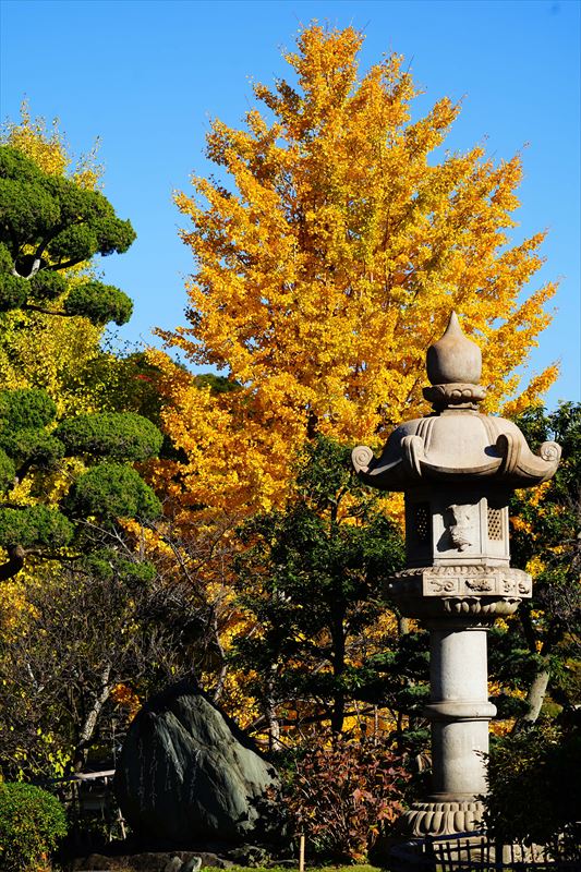 1136_神戸市須磨寺_兵庫