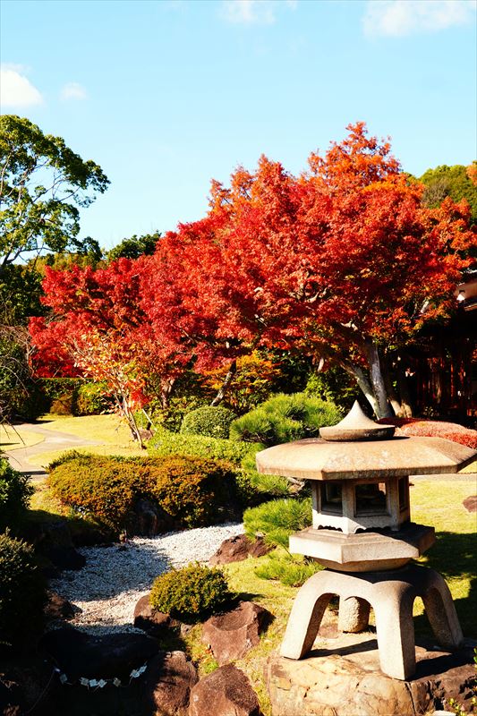 1147_神戸市須磨離宮公園_兵庫