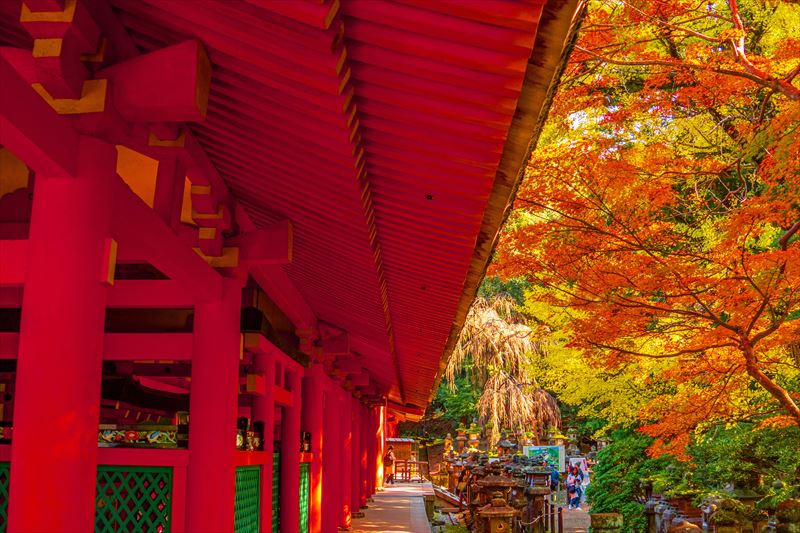 1102_春日大社_奈良