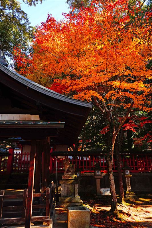 1179_手向山八幡宮_奈良