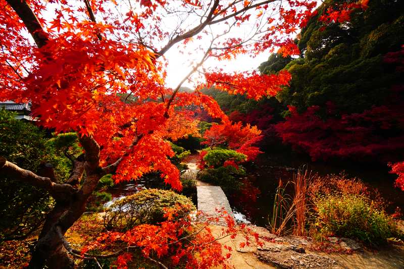 1017_下関市長府庭園_山口