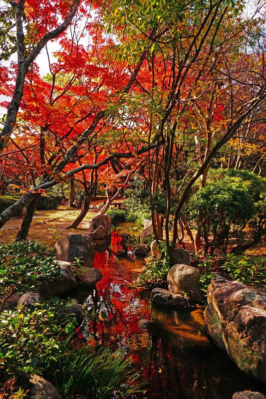 1249_東公園_福岡