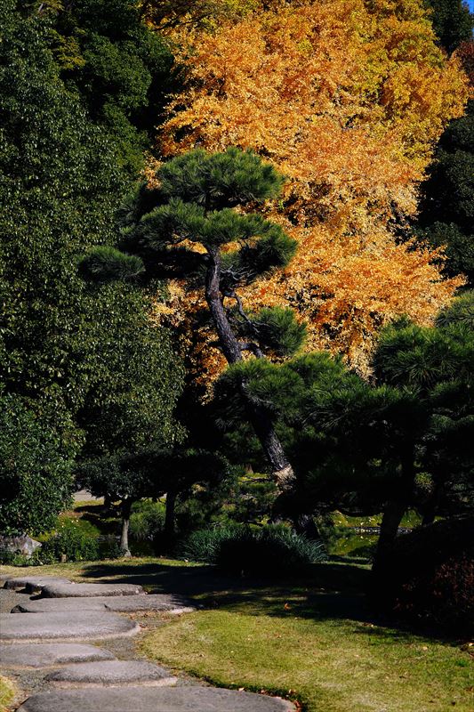1064_江東区清澄庭園_東京