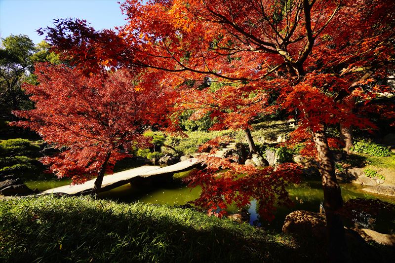 1069_江東区清澄庭園_東京