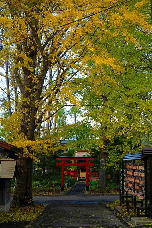 1036_函館亀田八幡宮_北海道
