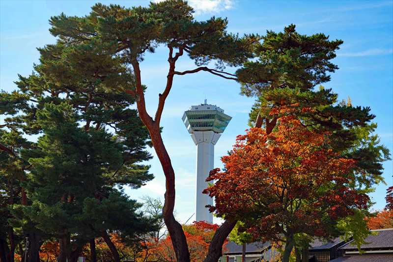 1019_函館五稜郭公園_北海道