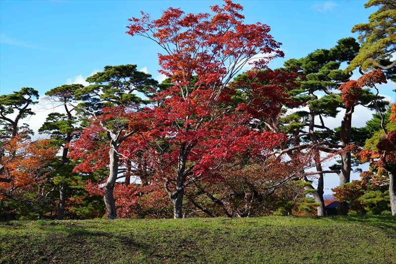 1024_函館五稜郭公園_北海道