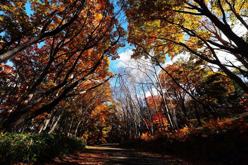 1004_函館見晴公園_北海道