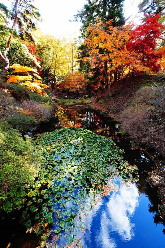 1006_函館見晴公園_北海道