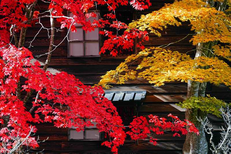 1015_函館見晴公園_北海道