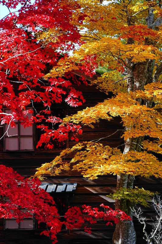 1016_函館見晴公園_北海道