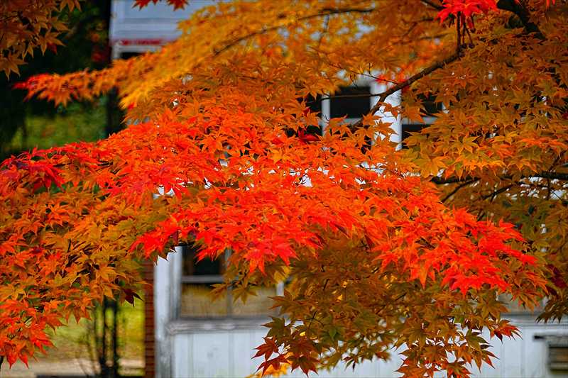1017_函館見晴公園_北海道