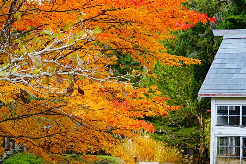 1019_函館見晴公園_北海道