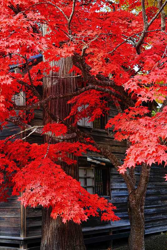1021_函館見晴公園_北海道