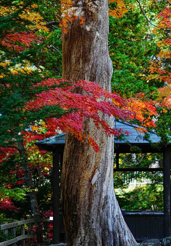 1047_函館見晴公園_北海道